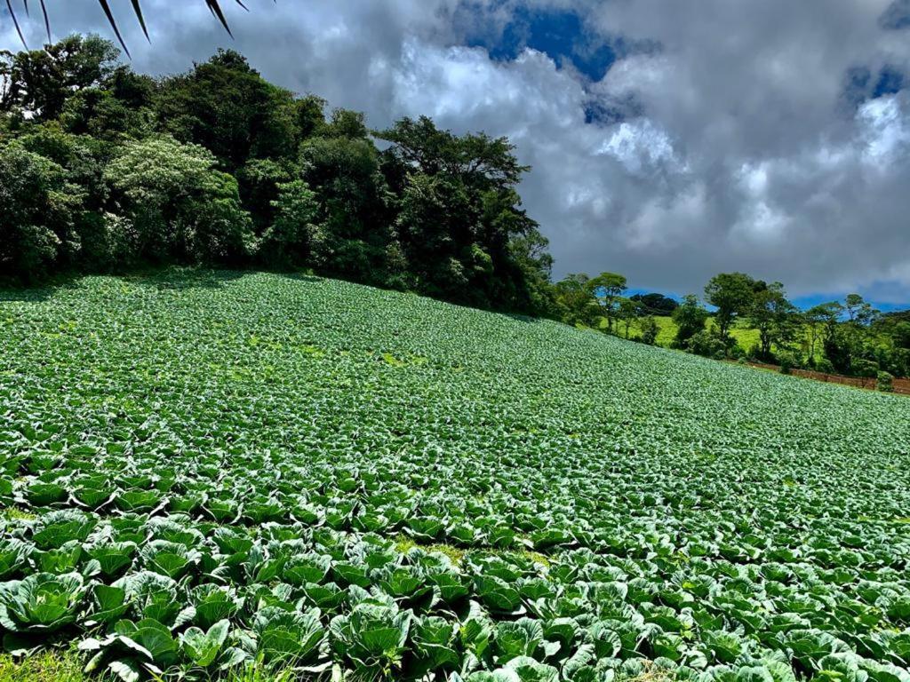 Finca Neblina del Bosque Estelí Exterior foto